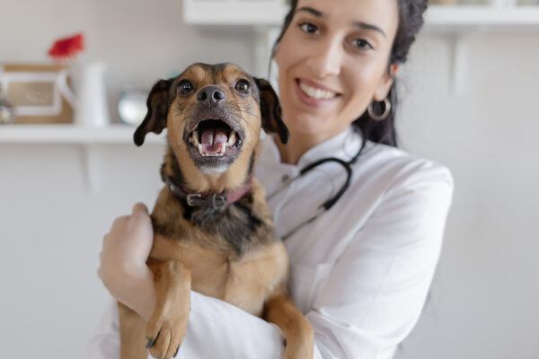 Female Vet With a Dog